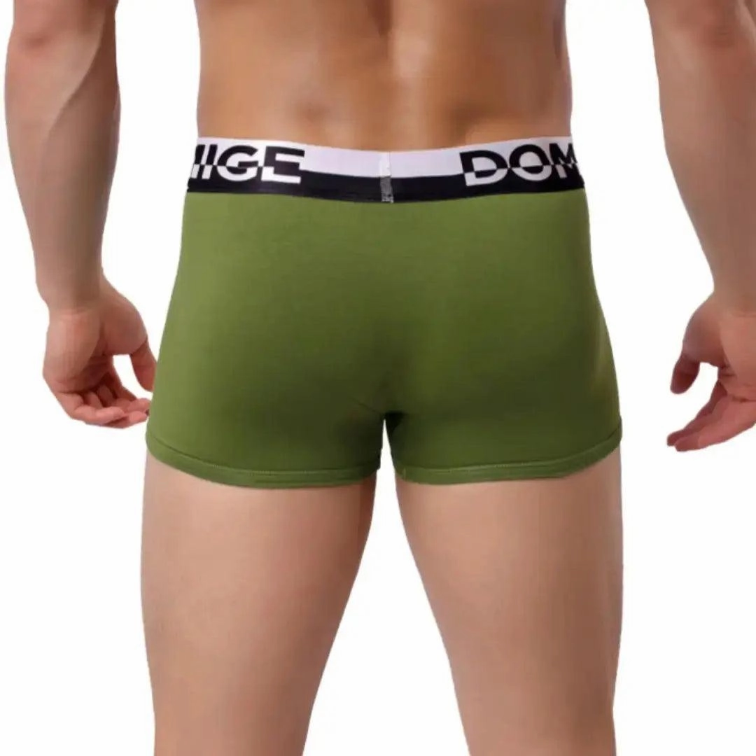 DomiGe Men's Cotton Boxer Briefs Turtle Shell Male Underwear