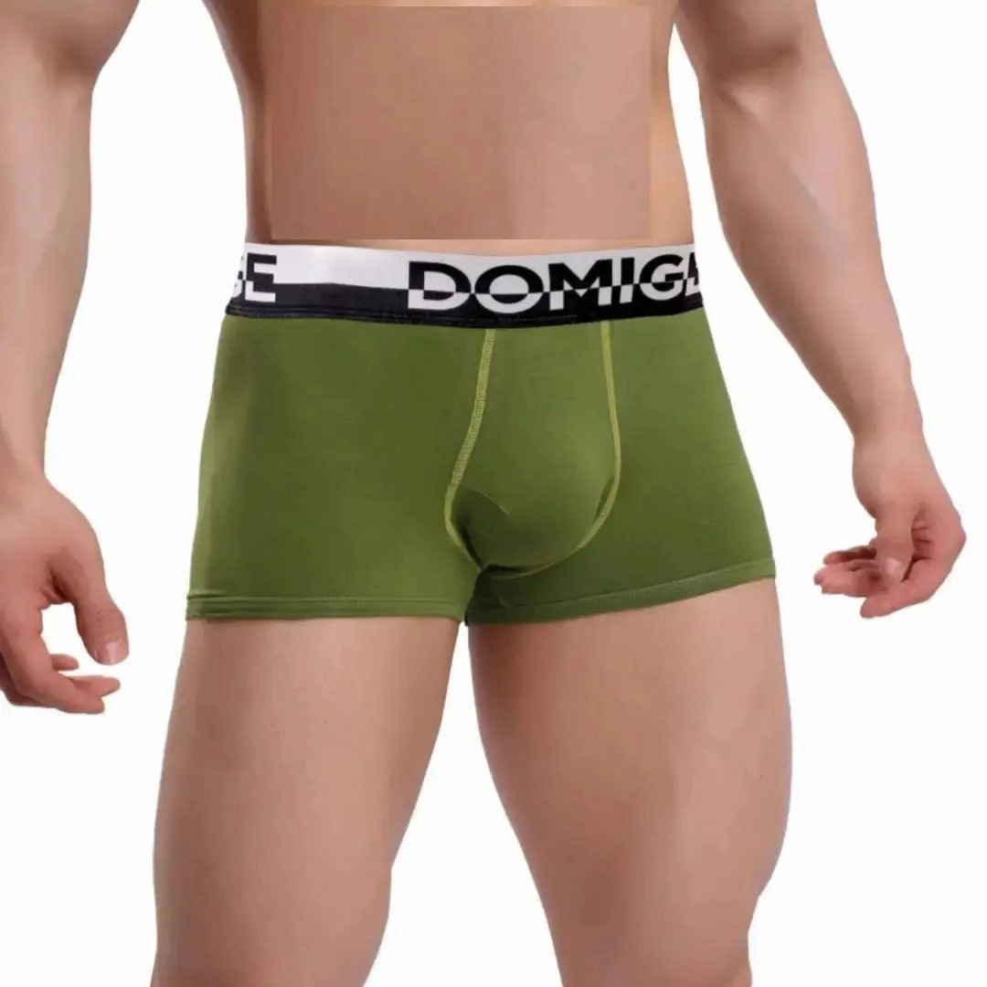 DomiGe Men's Cotton Boxer Briefs Turtle Shell Male Underwear
