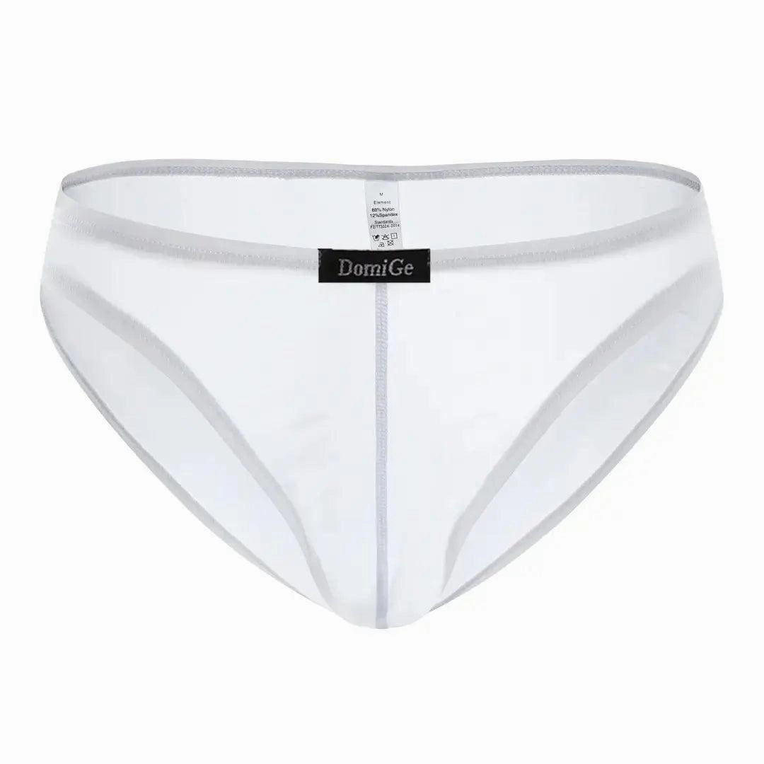 DomiGe Men's Low-Rise Mesh Briefs Full Coverage Male Briefs Underwear