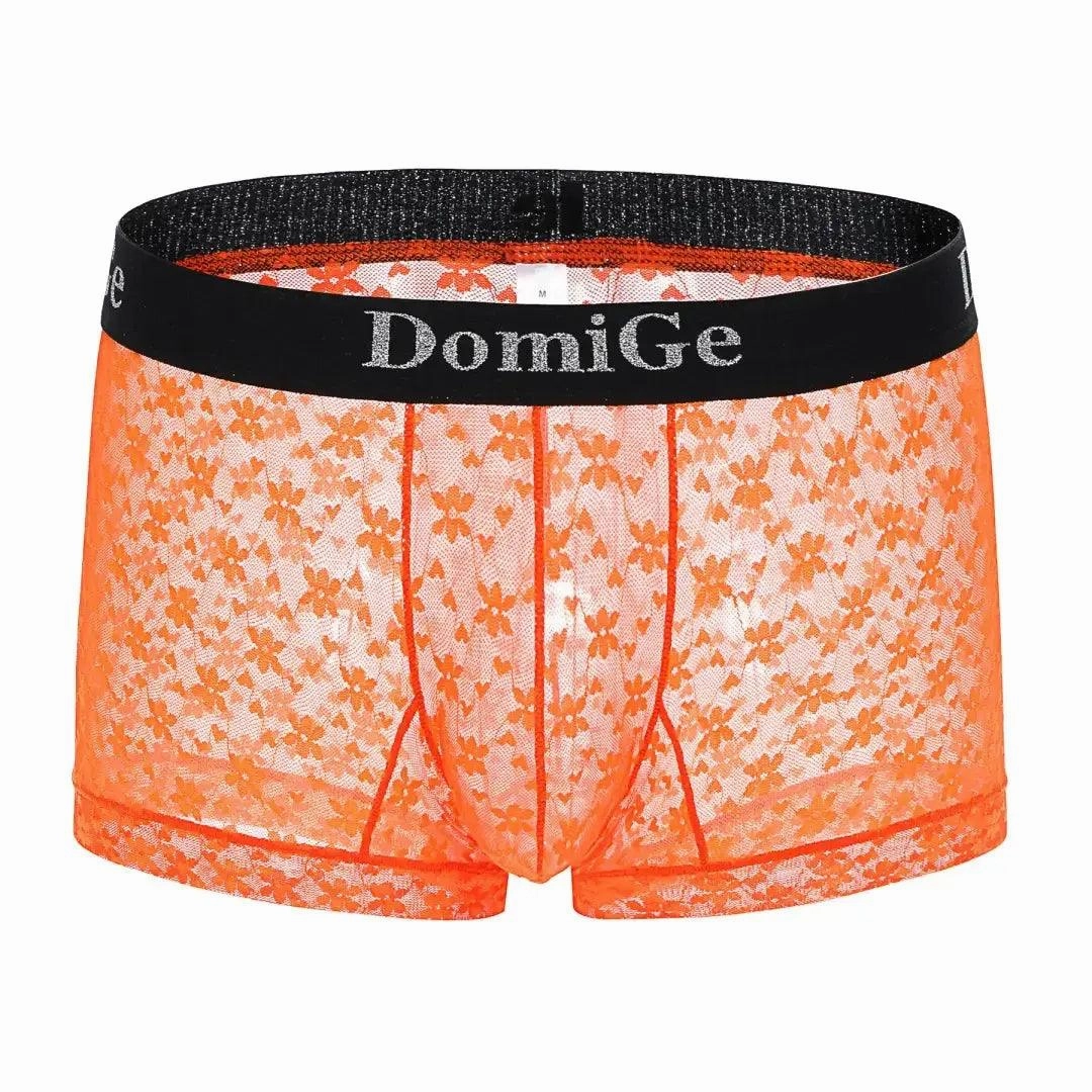 DomiGe Men's Mesh Sheer Boxers Waistband Ultimate Male Underwear