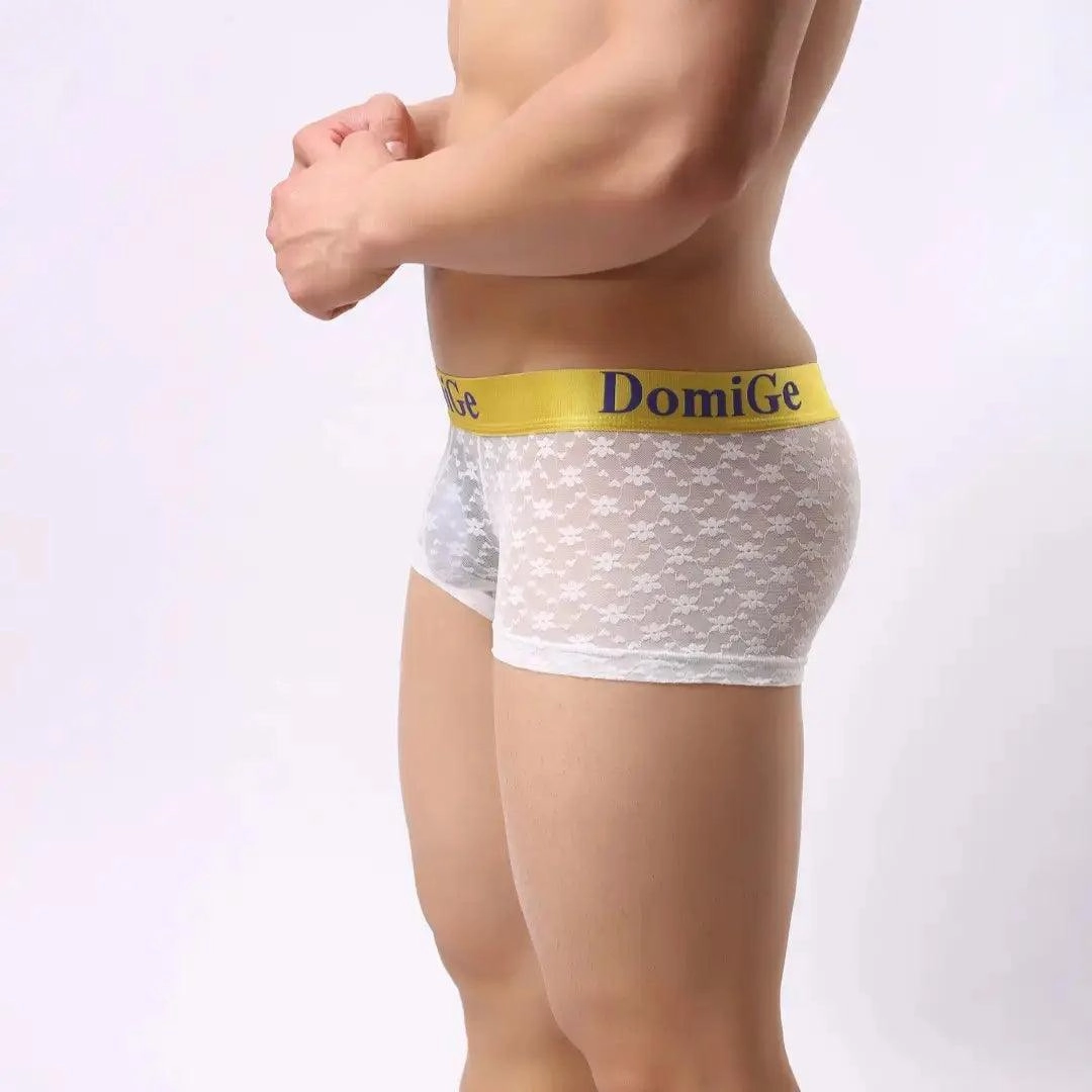 DomiGe Men's Mesh Sheer Boxers Waistband Ultimate Male Underwear