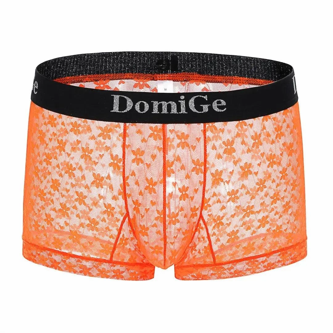 DomiGe Men's Mesh Sheer Boxers Waistband Ultimate Male Underwear