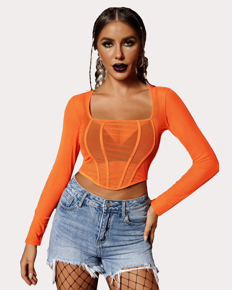 Mesh Top Y2K Sheer Blouse