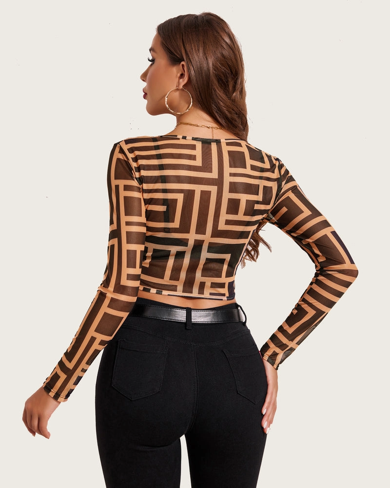 Mesh Top Y2K Sheer Blouse