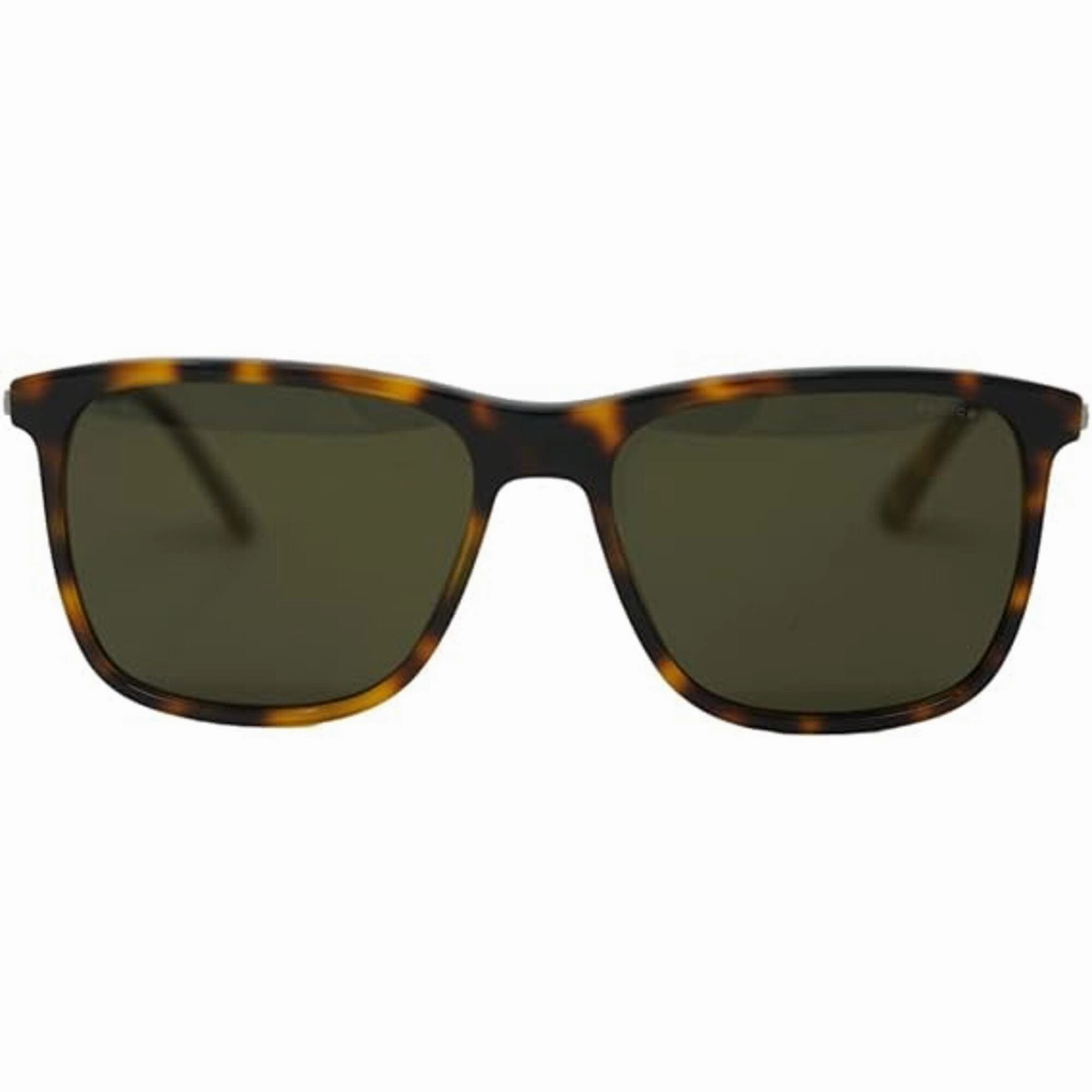 Police Men's Sunglasses - Havana Plastic Square Frame Brown Lens | POLICE SPL572N 1GZV